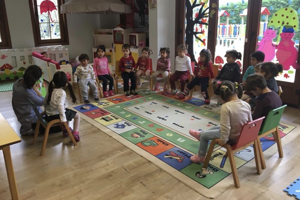 soyagaci 3