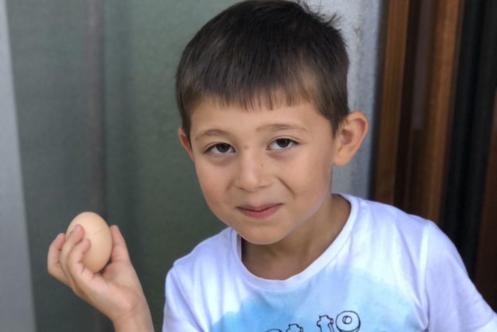 tavuklarinyeri 3